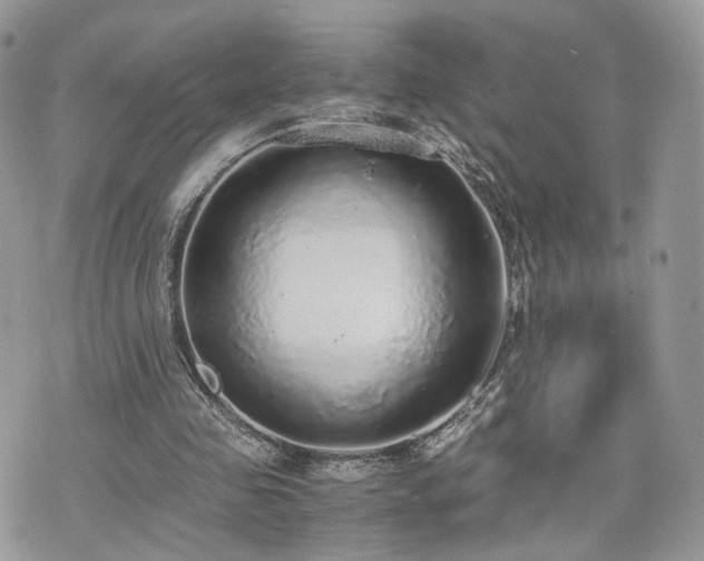 X0000076090341200609291232