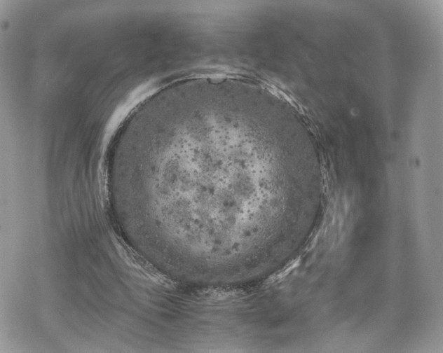 X0000076090343200609291232