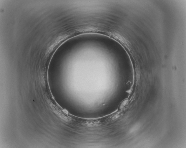 X0000076090345200609291232