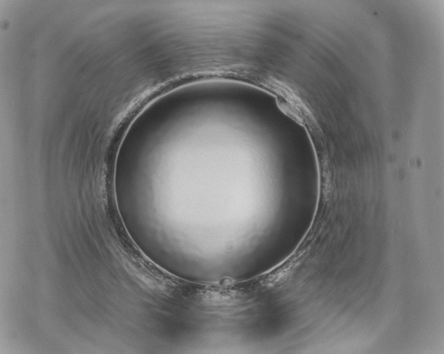 X0000076090346200609291232