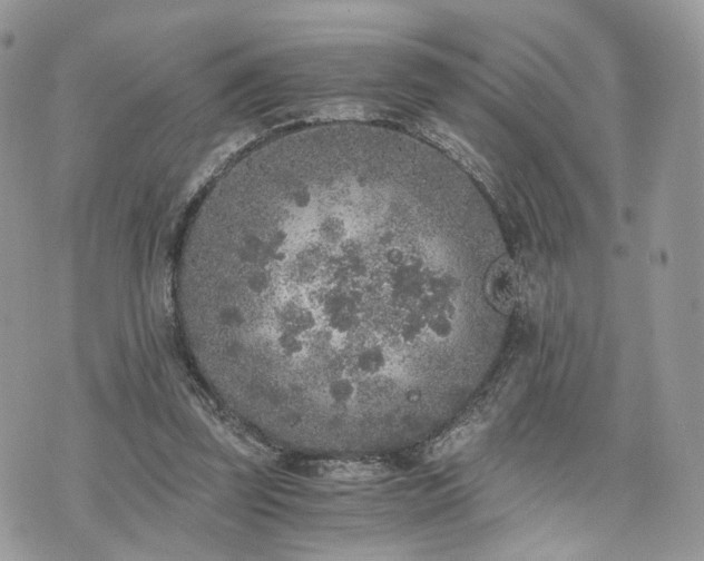 X0000076090347200609291232