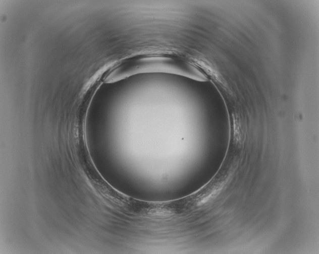 X0000076090348200609291232