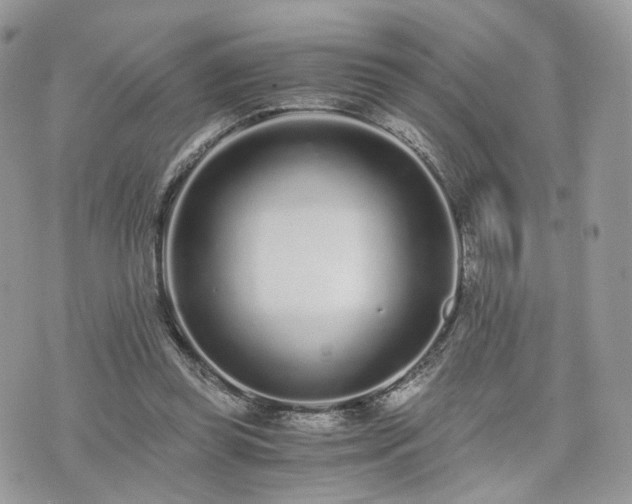 X0000076090349200609291232