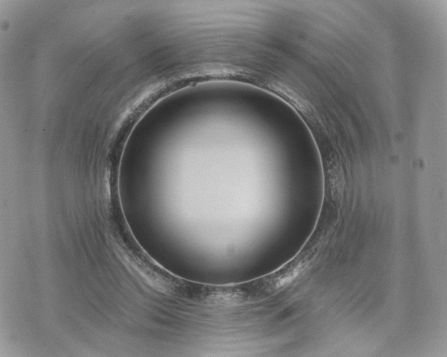 X0000076090350200609291232