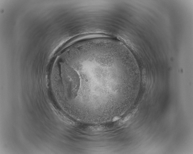 X0000076090351200609291232