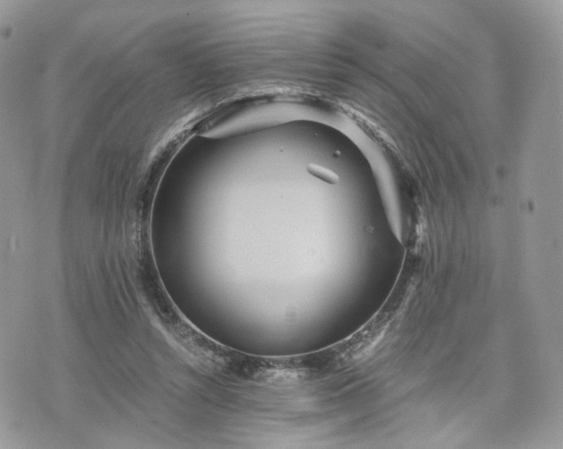 X0000076090352200609291232