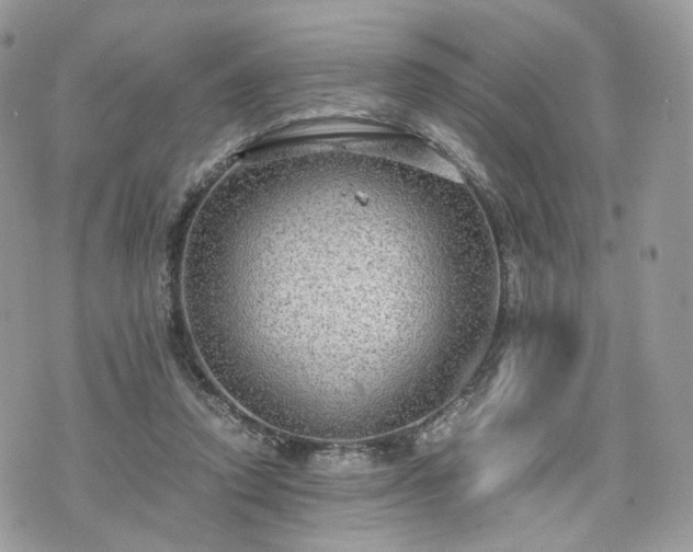 X0000076090354200609291232