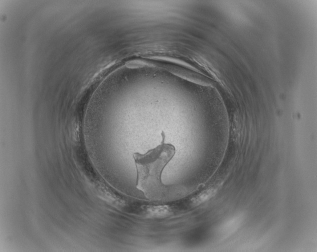 X0000076090355200609291232