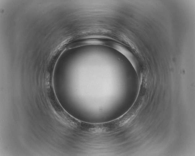 X0000076090356200609291232