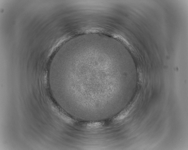 X0000076090357200609291232