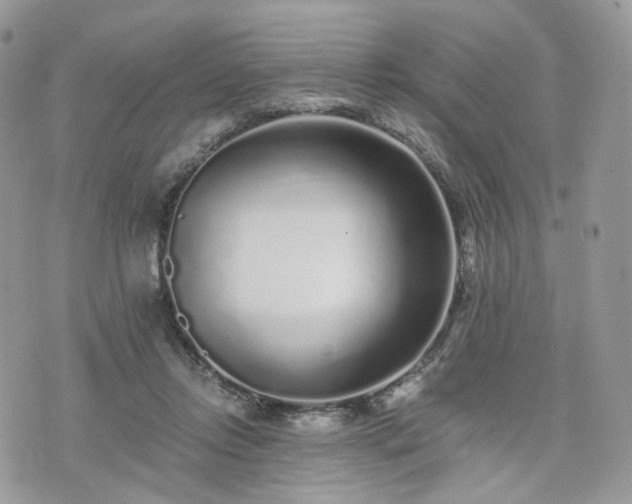 X0000076090358200609291232