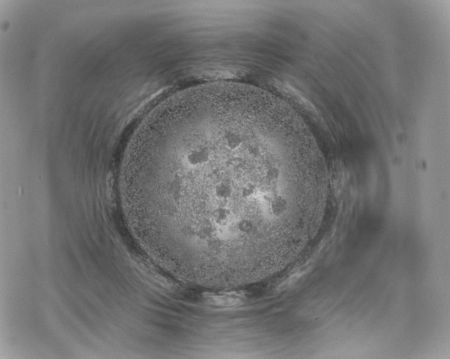 X0000076090359200609291232