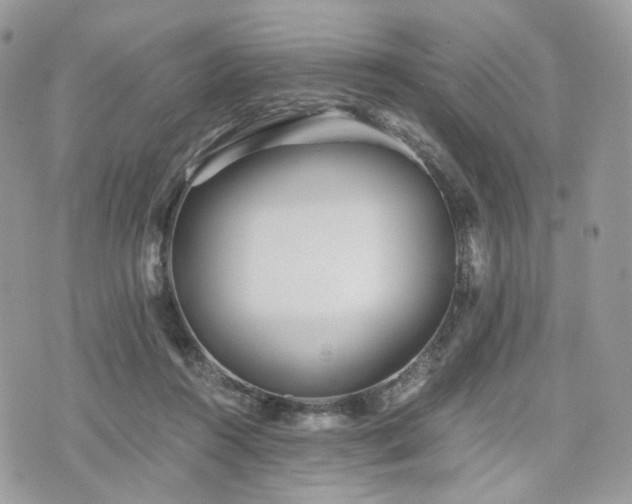 X0000076090360200609291232