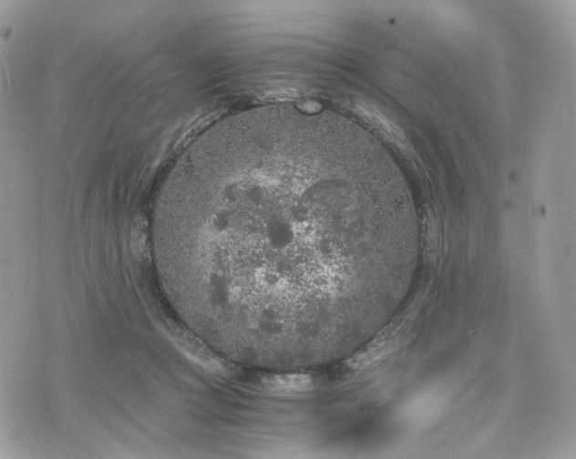 X0000076090361200609291232