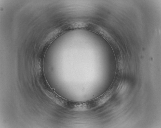 X0000076090362200609291232