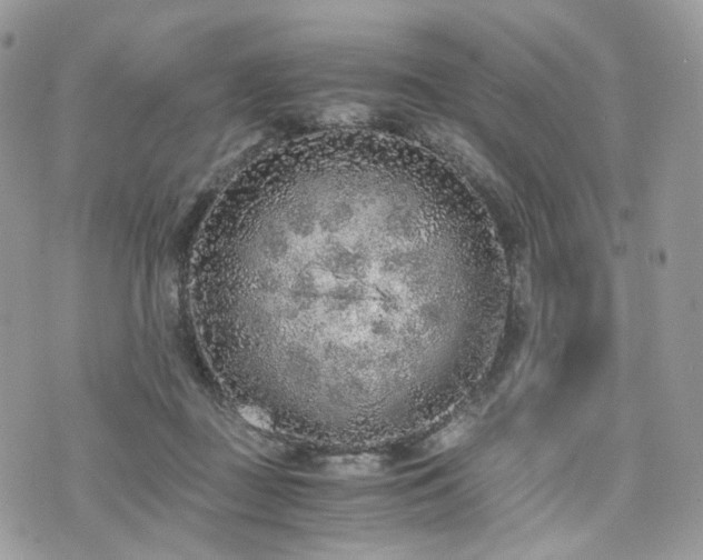 X0000076090363200609291232