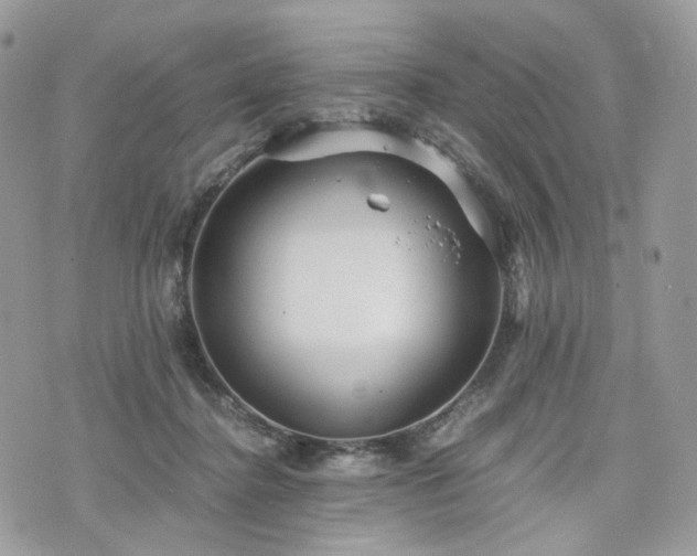 X0000076090364200609291232