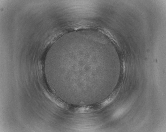 X0000076090366200609291232