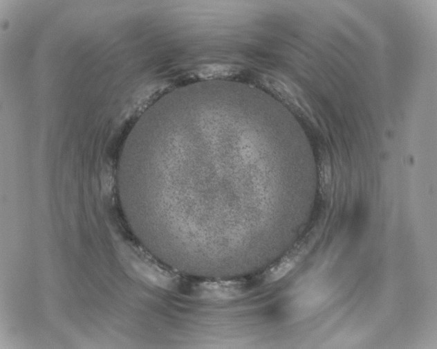 X0000076090367200609291232