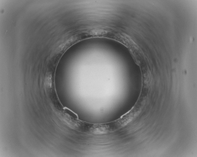 X0000076090368200609291232