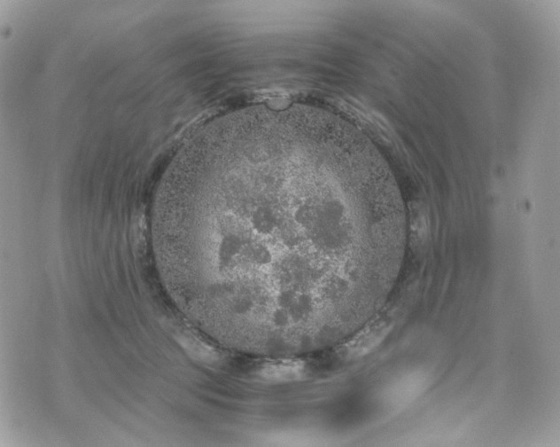 X0000076090369200609291232