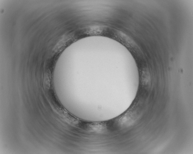 X0000076090370200609291232