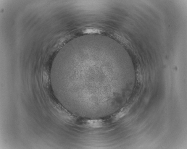 X0000076090371200609291232