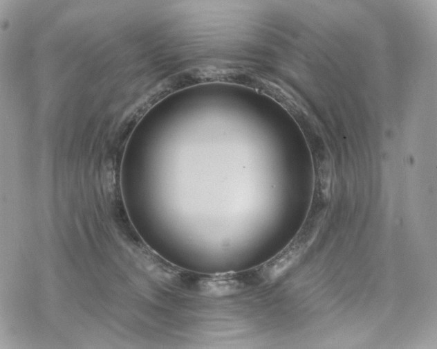 X0000076090372200609291232