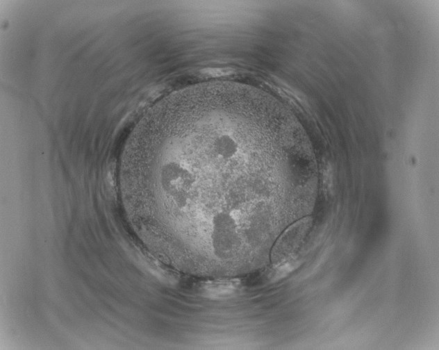 X0000076090373200609291232