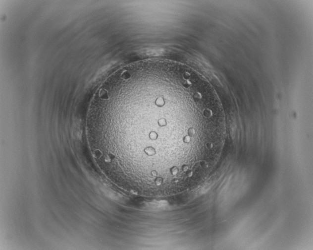 X0000076090374200609291232