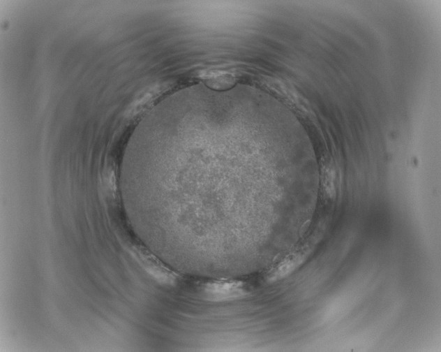 X0000076090375200609291232