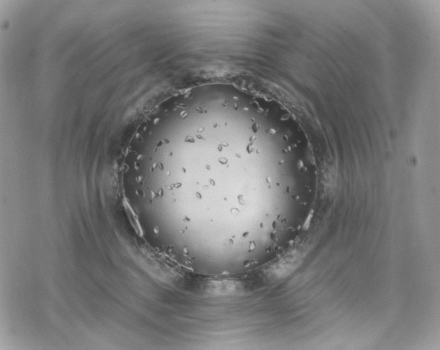 X0000076090376200609291232