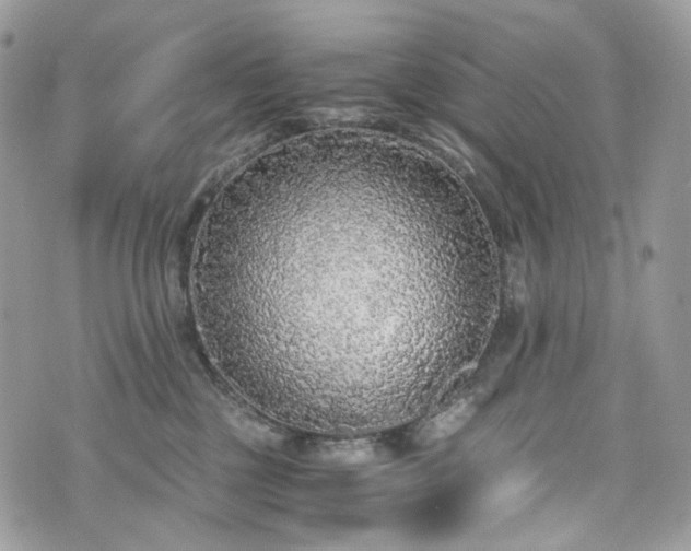 X0000076090377200609291232