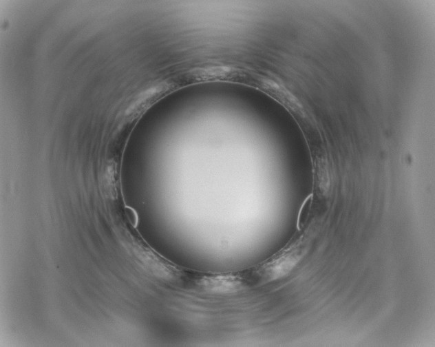 X0000076090378200609291232