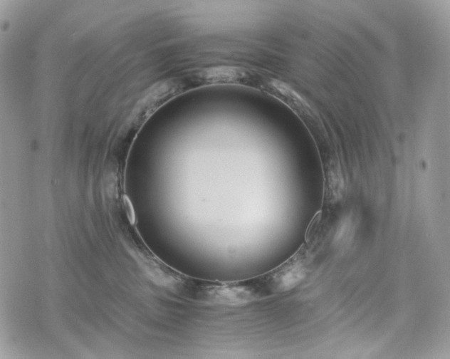 X0000076090379200609291232