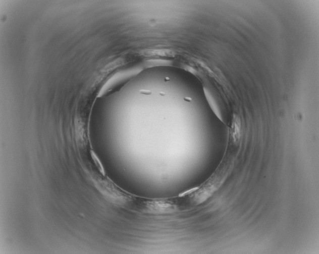 X0000076090380200609291233