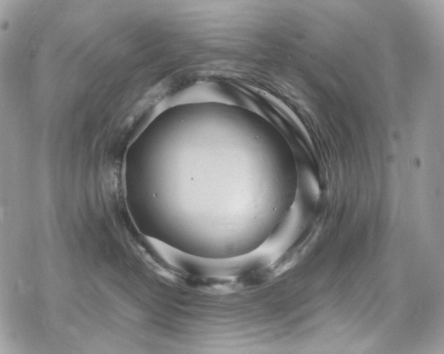 X0000076090382200609291233