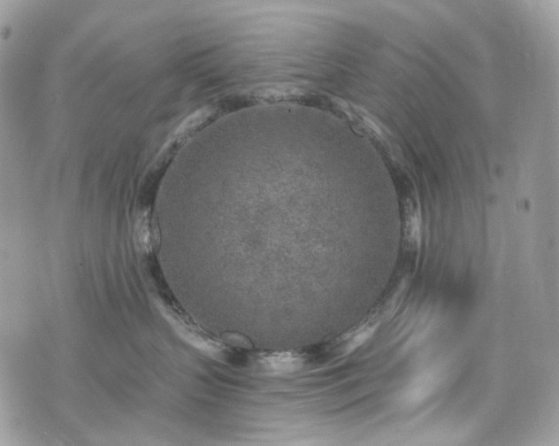 X0000076090383200609291233