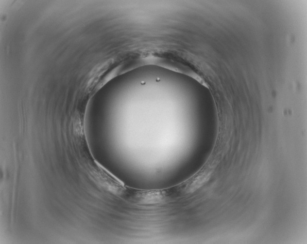 X0000076090384200609291233