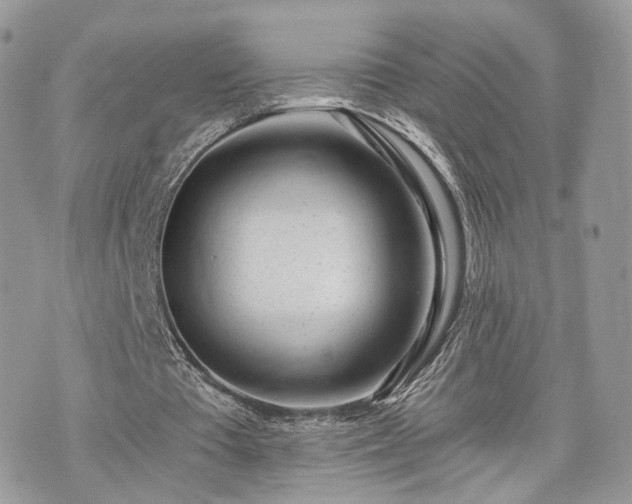 X0000076090385200609291232