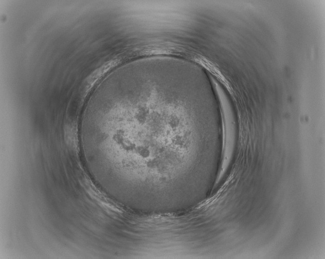 X0000076090386200609291232