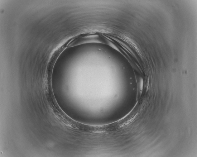 X0000076090388200609291232