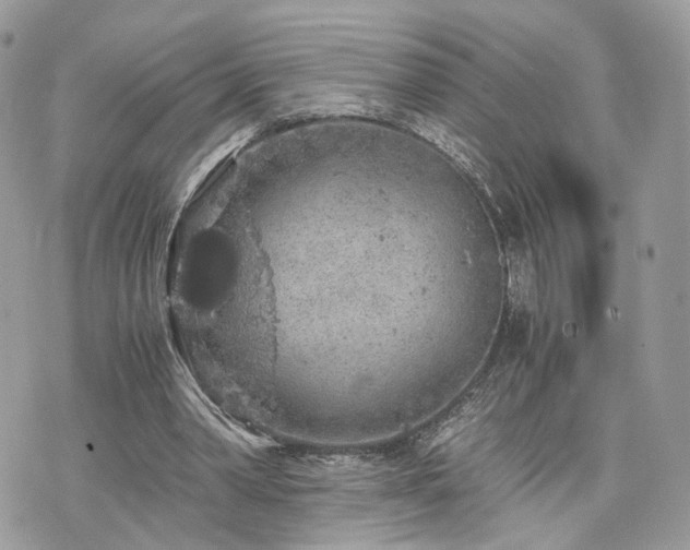 X0000076090390200609291232