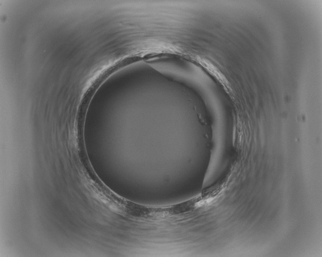 X0000076090391200609291232