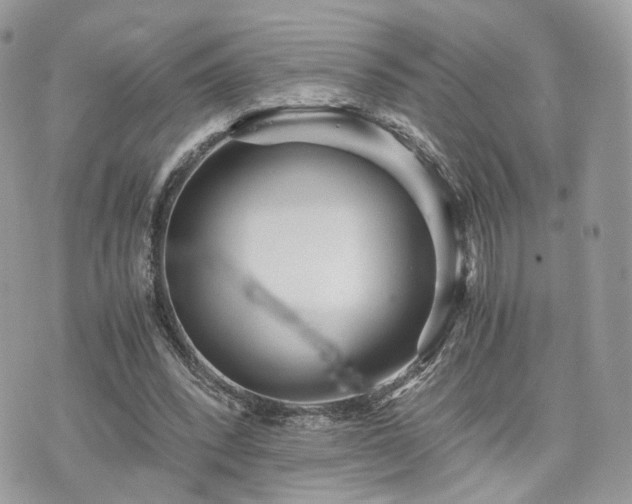 X0000076090392200609291232