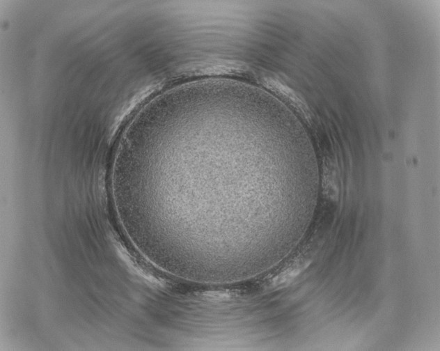 X0000076090394200609291232