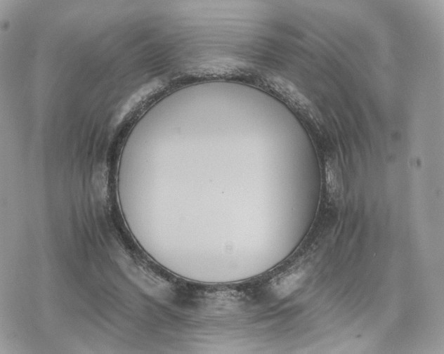 X0000076090396200609291232