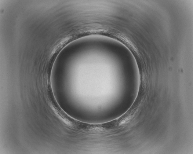 X0000076090397200609291232