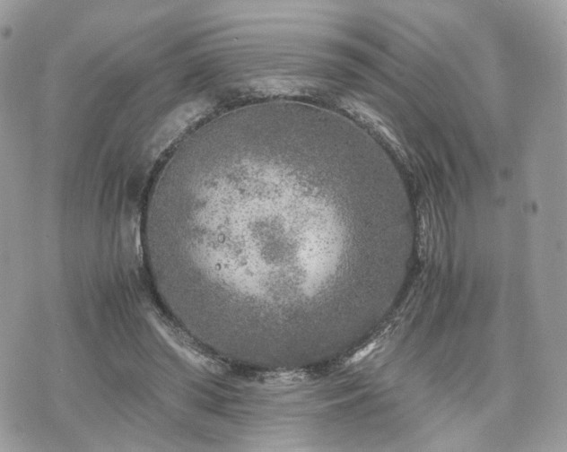 X0000076090398200609291232