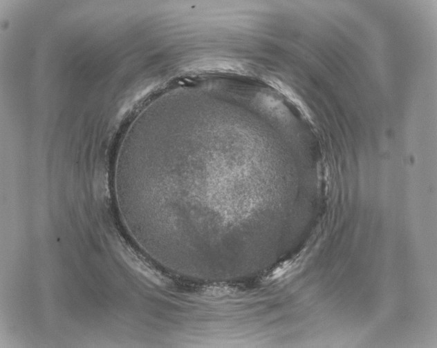 X0000076090399200609291232